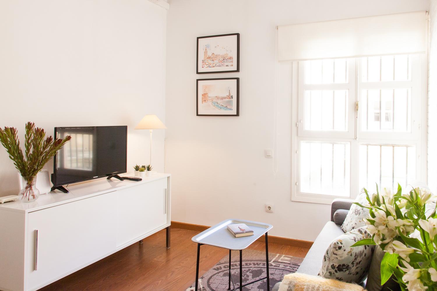 Apartamento Isg Conde De Ibarra 12 Free Parking *